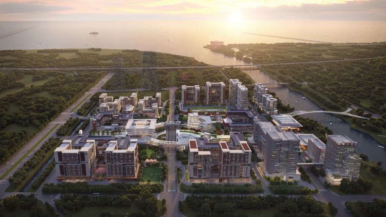 微信图片_2026-01-29_115204_755.jpg